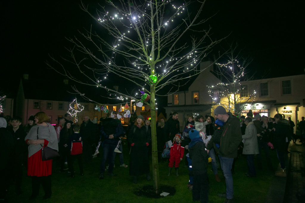 Christmas-Lights_04-1024x683 Christmas In Chapelton