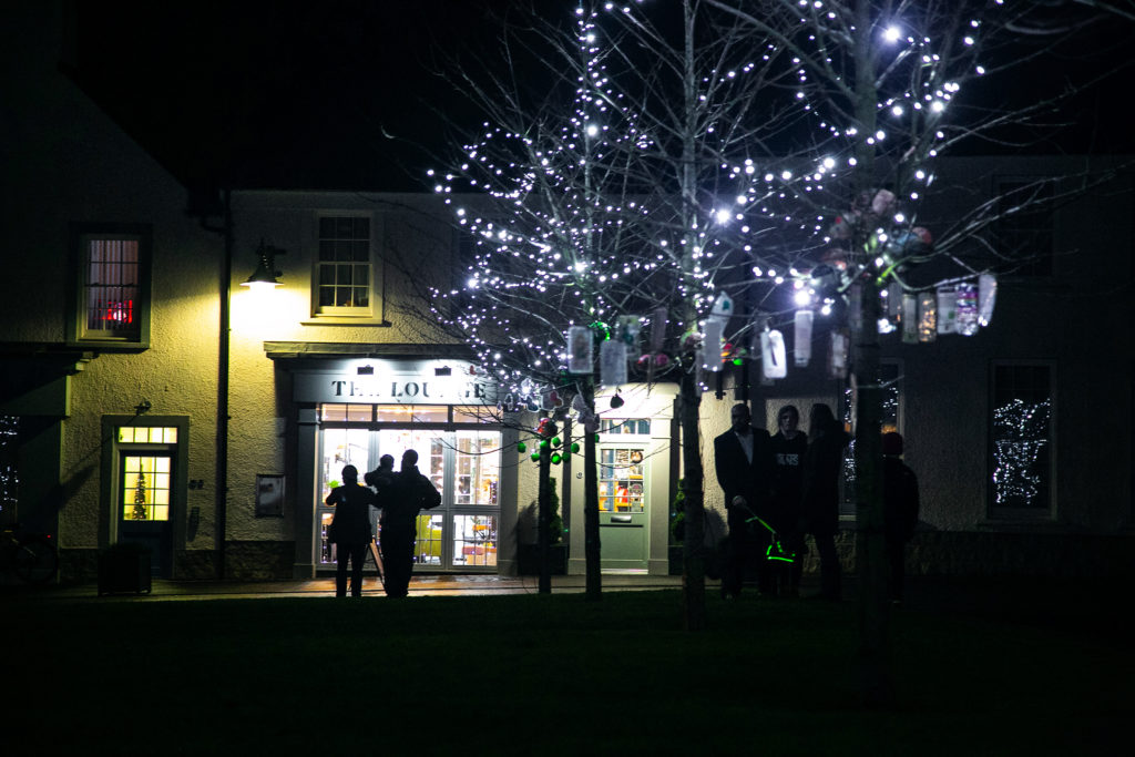 Christmas-Lights_16-1024x683 Christmas In Chapelton