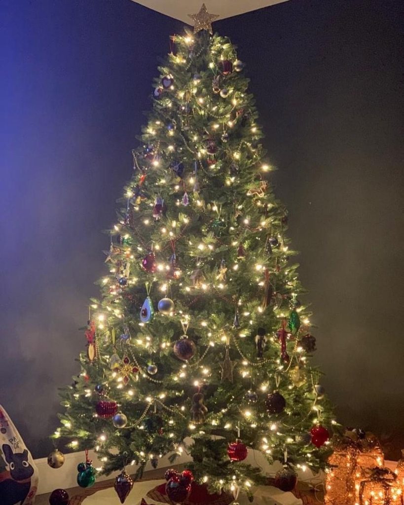 tree1-819x1024 Resident Blog: Gifting this Christmas
