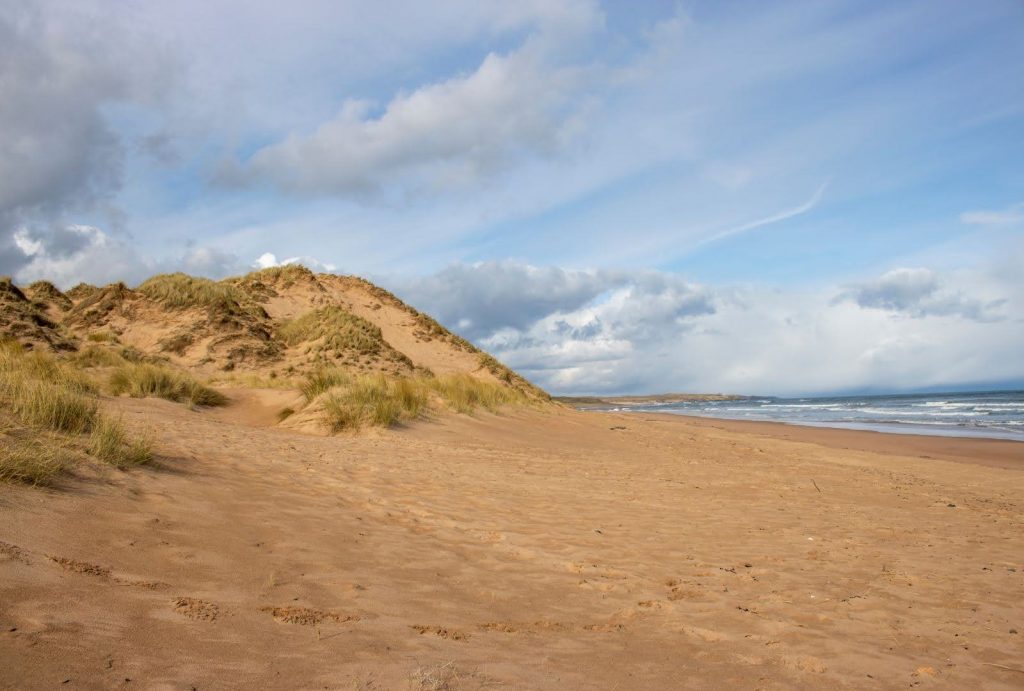 Newburgh-Beach-1024x691 Houses for sale Aberdeenshire