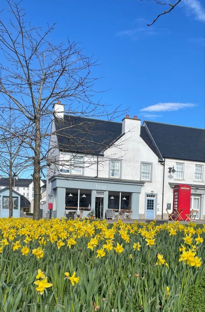 Brae-cafe-673x1024 The Chapelton Farmers Market returns!
