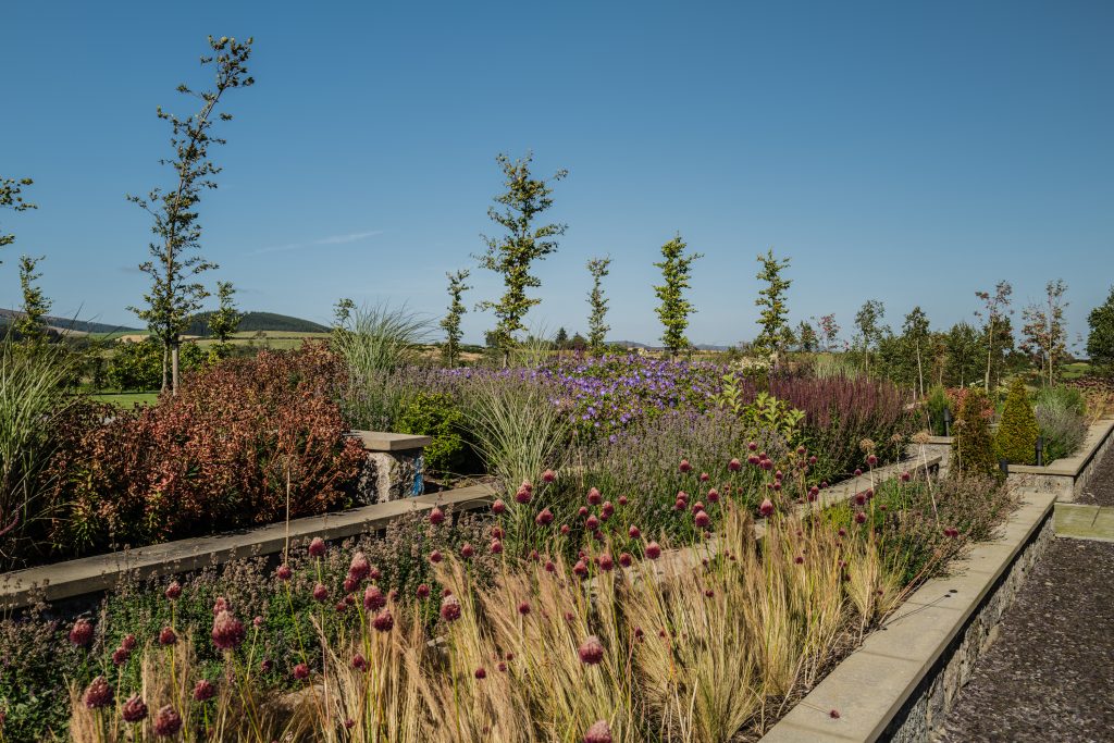 L1010761-1024x683 New build garden inspiration with Terra Foras